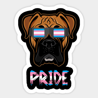 Boxer Transgender Flag Lgbt Sticker